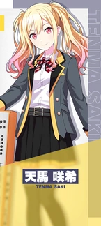 Character Select Saki