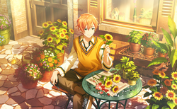 Shinonome Akito/Cards, Project SEKAI Wiki, Fandom