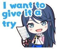 I want to give it a try