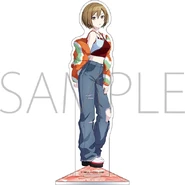 The Same Excitement Acrylic Stand