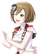 As A Fan (untrained)