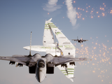 Federation Intercept Specialists