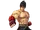 Tekken (universe)