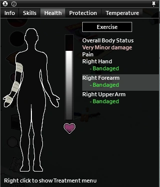 Health | Project Zomboid Wiki | Fandom