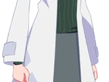 Heris