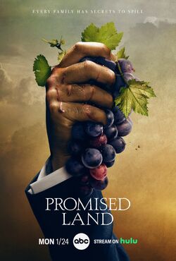 Promised Land' Moves From ABC to Hulu