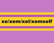 Alternate Xe/Xem Pronoun Flag by Tumblr user rjalkers-neopronouns[24]