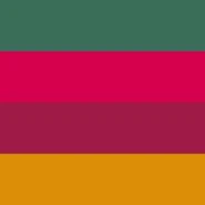 Alternate Xe/Xem Pronoun Flag by Tumblr user nooonbinaryyyy[35]