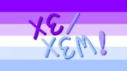 Alternate Xe/Xem Pronoun Flag by Pinterest user @lgbtq3153[10]