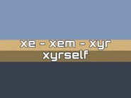 Alternate Xe/Xem Pronoun Flag by Tumblr user craftgender[32]