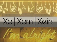 Alternate Xe/Xem Pronoun Flag by Tumblr user craftgender[37]