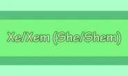 Alternate Xe/Xem Pronoun Flag (Specifically Pronounced She/Shem) by Tumblr user thescaryhyperfem[12]