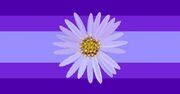 Asterself Flag