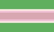 Alternate Xe/Xem Pronoun Flag by Tumblr user Squirmgender[22]