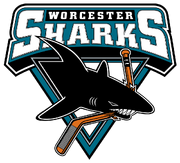 Worcester Sharks