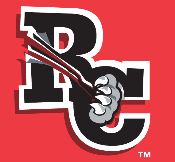 Hardware City Rock Cats Pro Sports Teams Wiki Fandom