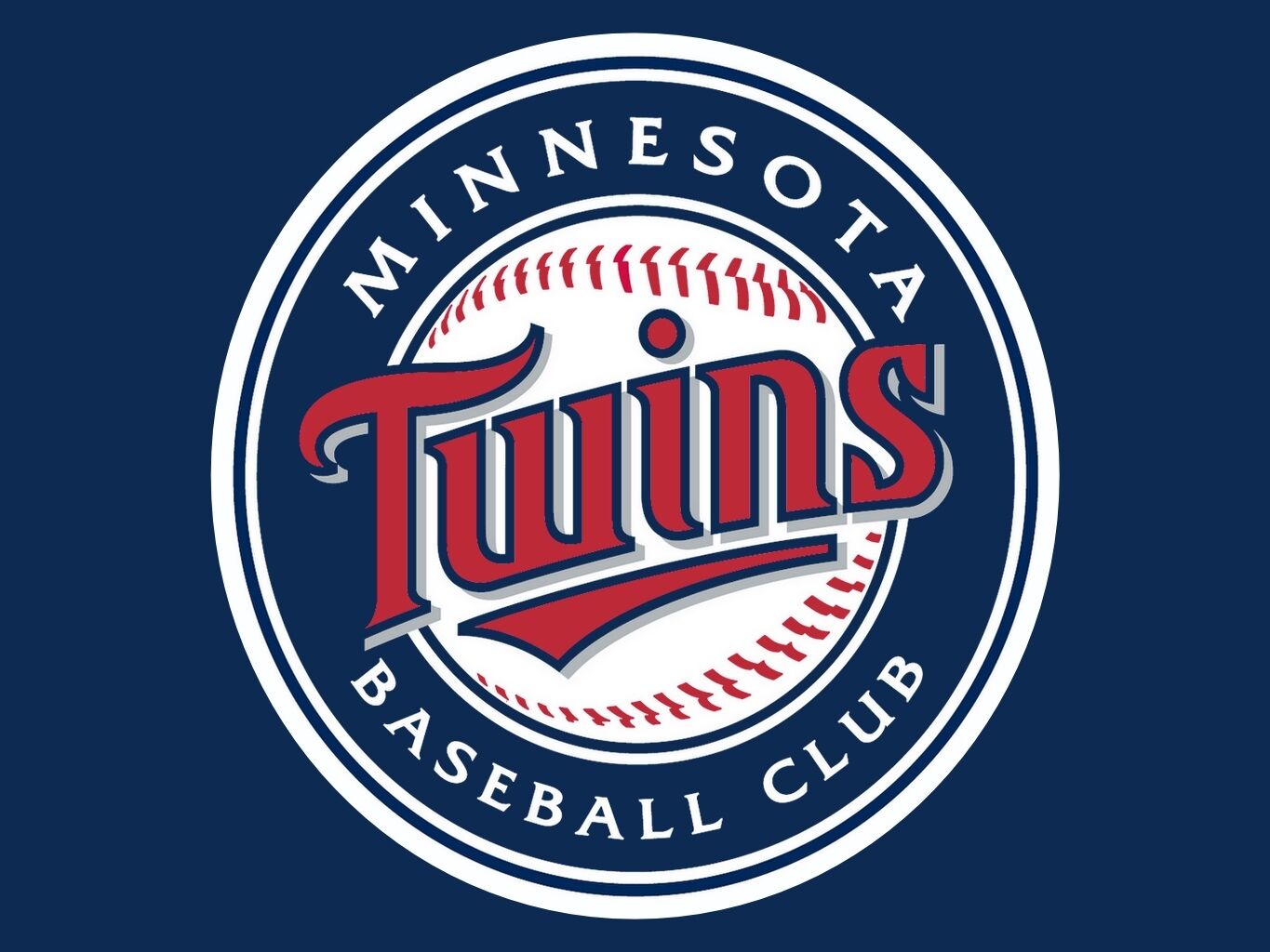 Minnestoa Twins 8” x 32” Hanging Team Logo Evolution Banner