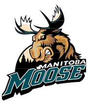 Manitoba Moose