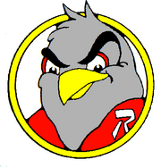 RIR