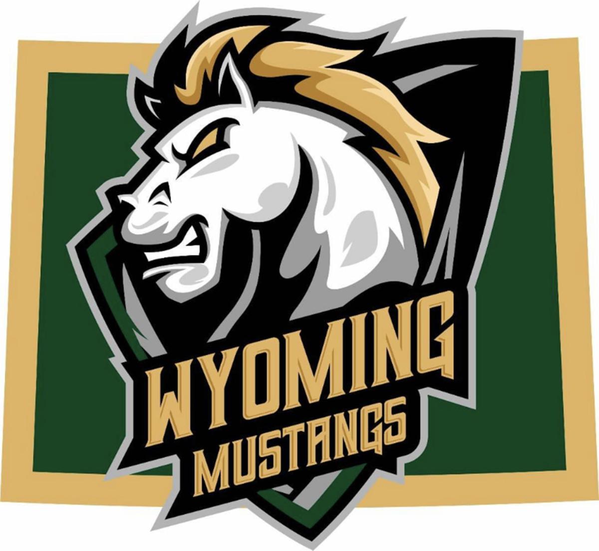 Wyoming Mustangs Pro Sports Teams Wiki Fandom