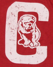 Canton Bulldogs, Pro Sports Teams Wiki