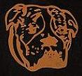 Windsor Bulldogs 1964