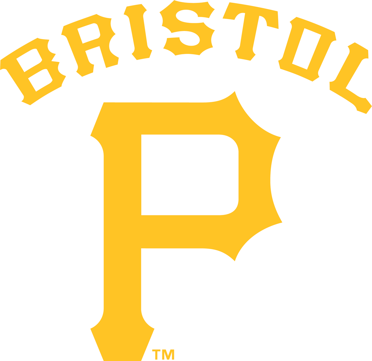 Bristol Pirates Pro Sports Teams Wiki Fandom