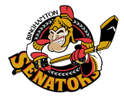 Binghamton Senators