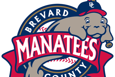 Quad City River Bandits, Logopedia