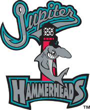 Jupiter Hammerheads