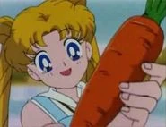 Usagi checking the carrot.