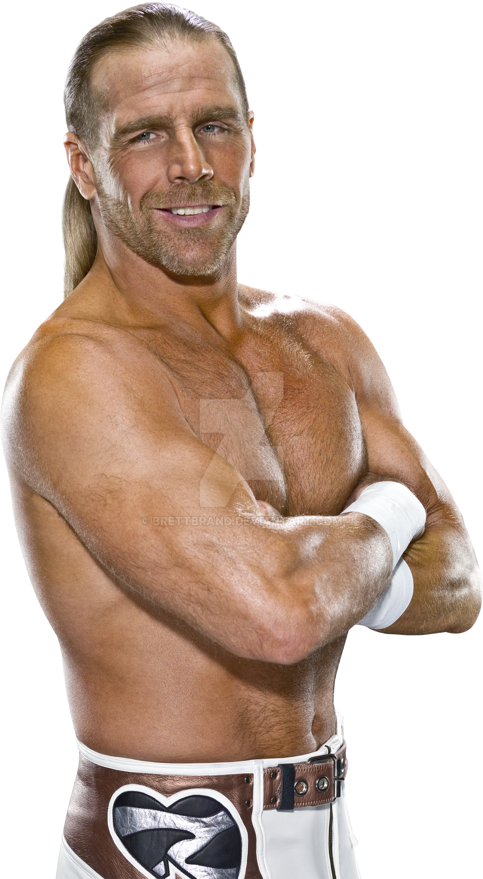 Sean michaels wrestler deals
