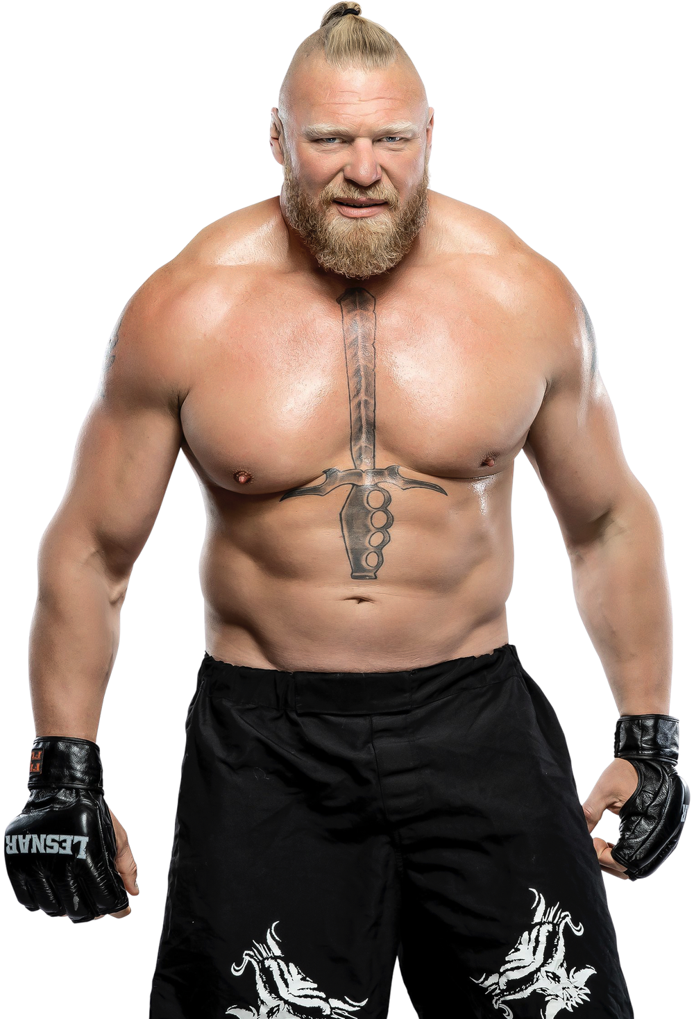 WWE SummerSlam Brock Lesnar suffers embarrassing wardrobe malfunction   Metro News