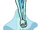 Blue Pearl