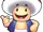Toad (Super Mario Cartoons)