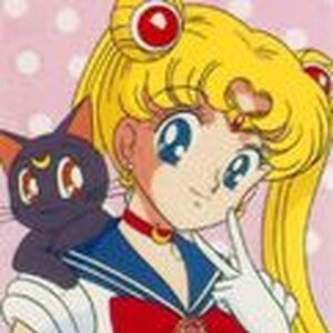 Sailor Moon Protagonists Wiki Fandom These were true in sailor moon, and may not be true in sailor moon r, s, supers, and sailor stars. sailor moon protagonists wiki fandom