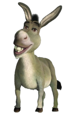 Donkey