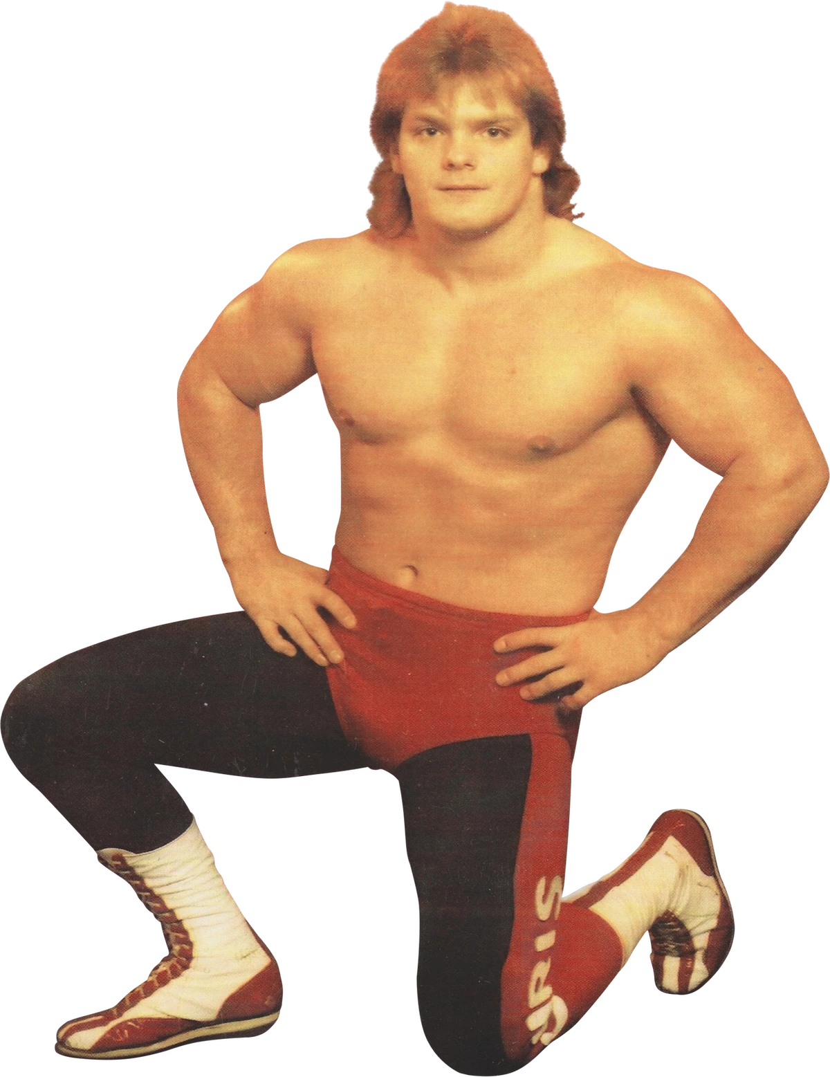 Chris Benoit Protagonists Wiki Fandom