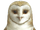 Soren (Guardians of Ga'Hoole)