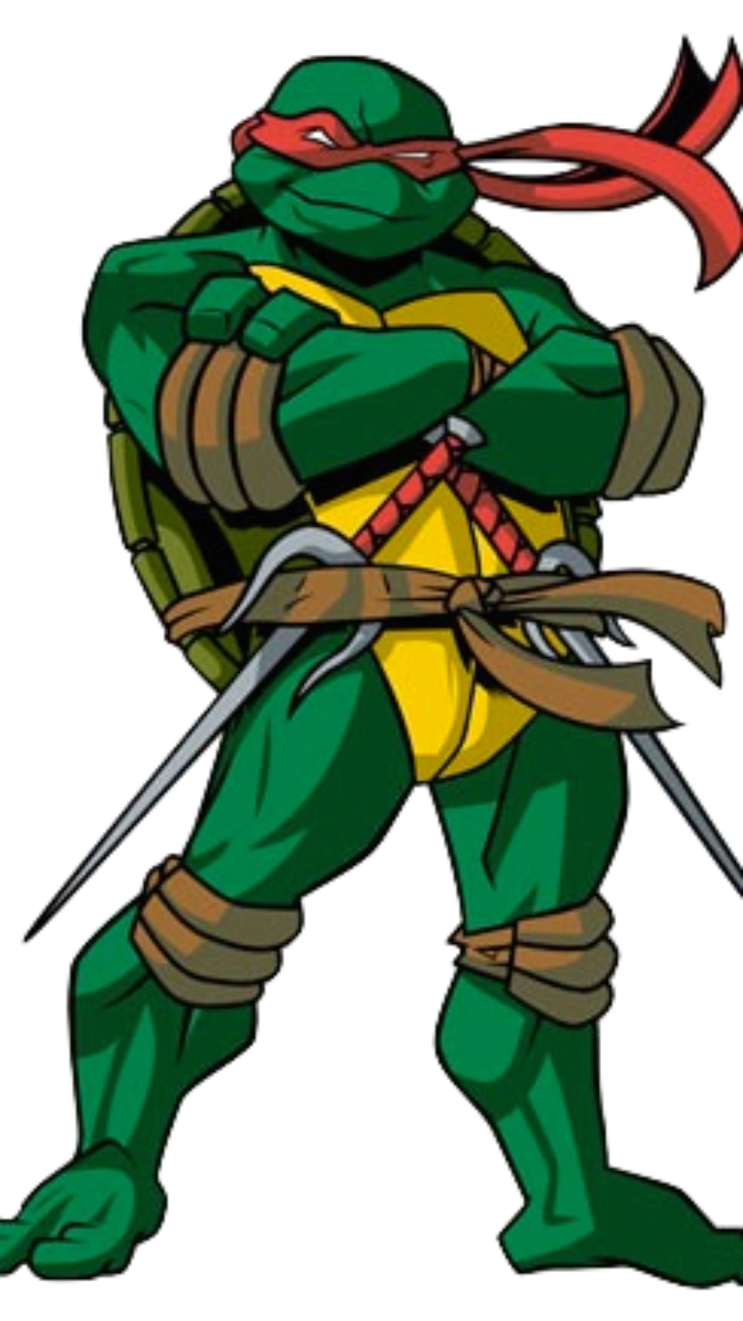 Raphael (TMNT 2003) | Protagonists Wiki | Fandom