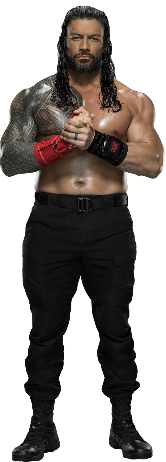 Roman Reigns, Villains Wiki