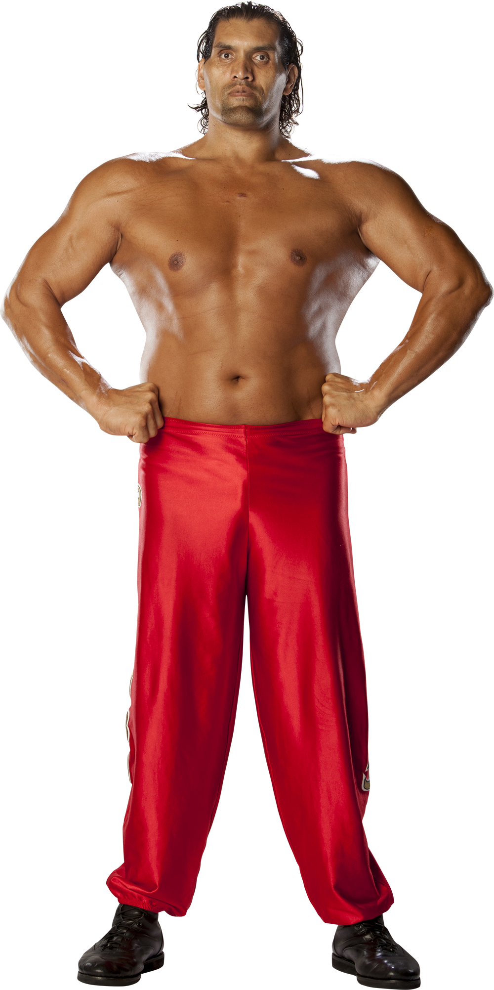 Wwe the great khali on sale