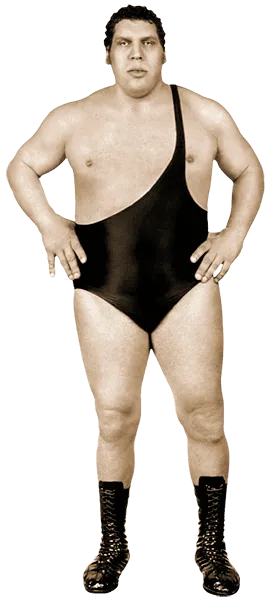 Giant wrestler sales