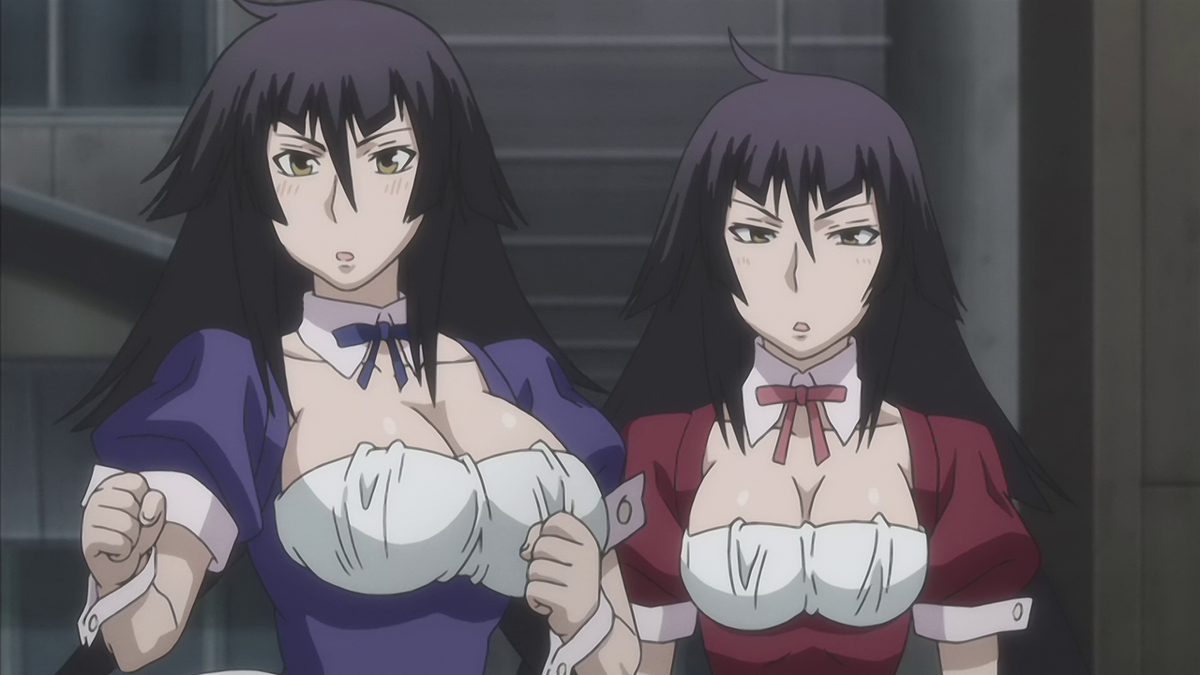 Hikari & Hibiki | Protagonists Wiki | Fandom