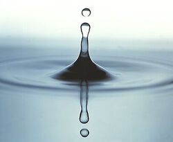 Water drop