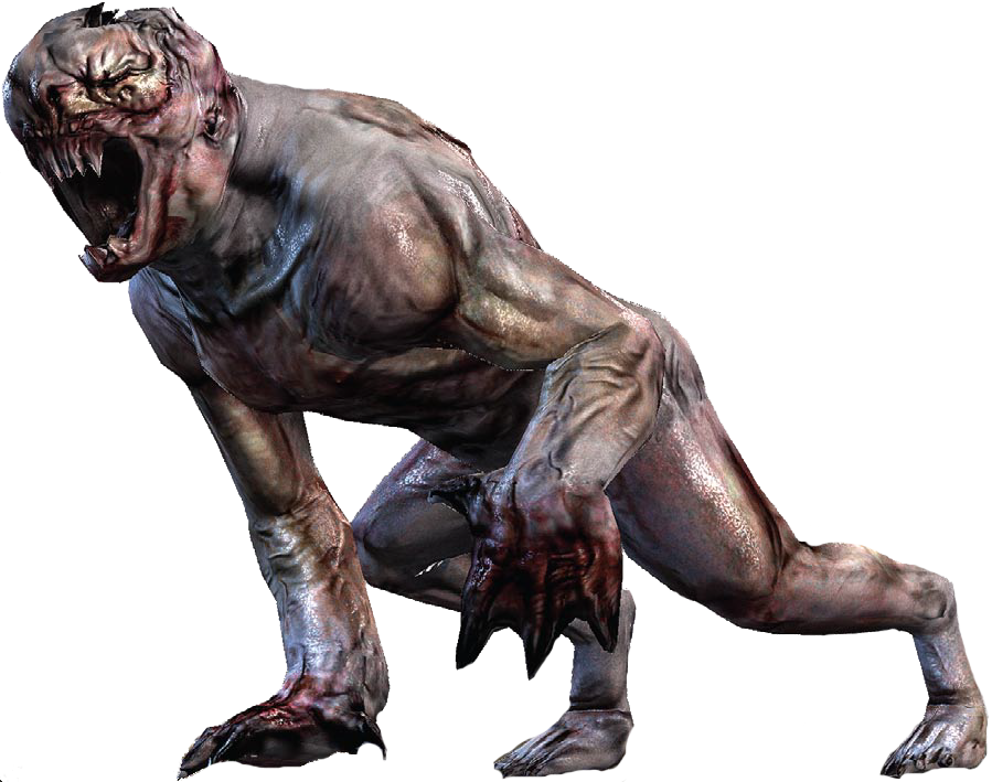Leader Hunters Prototype Wiki Fandom