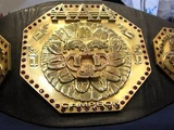 AAA Mega Championship