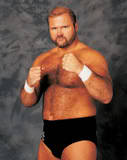 Arn Anderson5