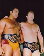 Bob Backlund & Pedro Morales (August 9, 1980 - August 10, 1980)