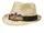WrestleMania 34 Fedora